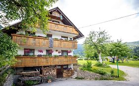Apartmaji Verica Ceklin